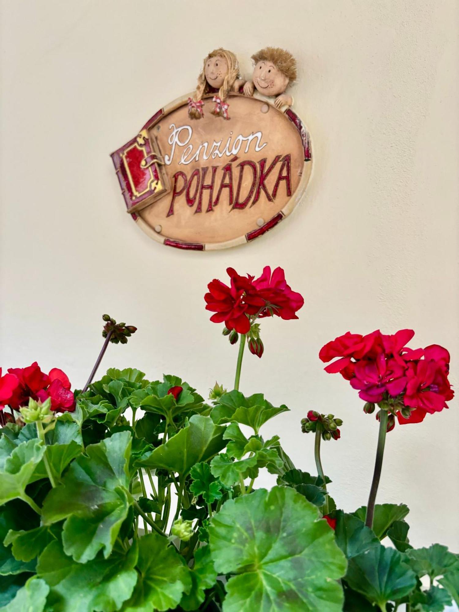 Penzion Pohadka Trebon Bagian luar foto